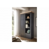 Esikukapp WESTMINSTER tumehall / tamm, 108x46xH203 cm