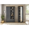 Esikukapp WESTMINSTER tumehall / tamm, 66x46xH203 cm