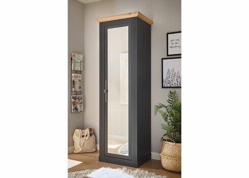 Esikukapp WESTMINSTER tumehall / tamm, 66x46xH203 cm