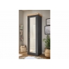 Esikukapp WESTMINSTER tumehall / tamm, 66x46xH203 cm