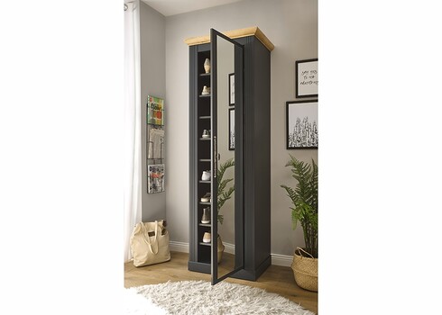 Esikukapp WESTMINSTER tumehall / tamm, 66x46xH203 cm