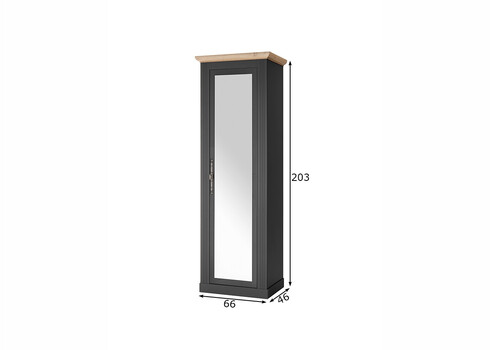 Esikukapp WESTMINSTER tumehall / tamm, 66x46xH203 cm