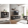 Tv-alus WESTMINSTER tumehall / tamm, 162x41xH52 cm