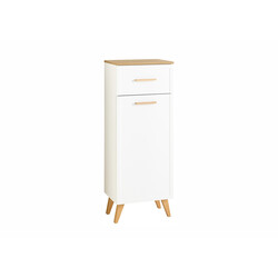 Alumine vannitoakapp 383 mattvalge / tamm, 45x32,5xH104 cm