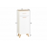 Alumine vannitoakapp 383 mattvalge / tamm, 45x32,5xH104 cm