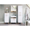Alumine vannitoakapp 383 mattvalge / tamm, 45x32,5xH104 cm