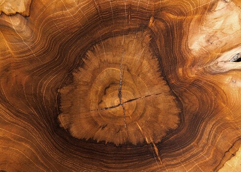 Diivanilaud ROOT tiigipuu, 43x38xH40 cm