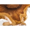Diivanilaud ROOT tiikpuu, 42x42xH70 cm