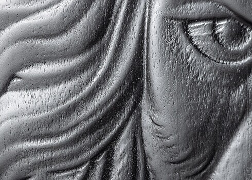 Kapp LION must / kuldne, 100x38xH140 cm