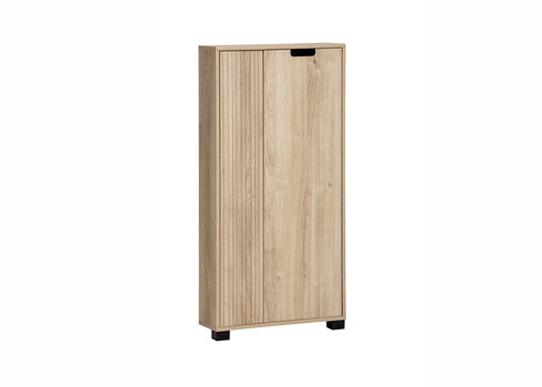 Esikukapp EMMIK tamm, 60x20xH124 cm