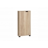Esikukapp EMMIK tamm, 60x20xH124 cm