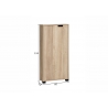 Esikukapp EMMIK tamm, 60x20xH124 cm