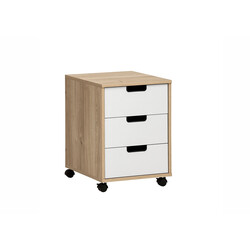 Sahtliboks EMMIK tamm / mattvalge, 40x50xH57 cm