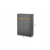 Jalatsikapp CITY antratsiit / tamm, 85x35xH122 cm
