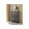 Jalatsikapp CITY antratsiit / tamm, 85x35xH122 cm