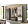 Jalatsikapp CITY antratsiit / tamm, 85x35xH195 cm