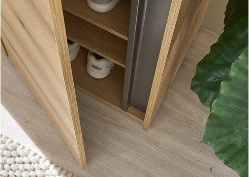 Esikukapp CITY tamm / antratsiit, 50x40xH200 cm