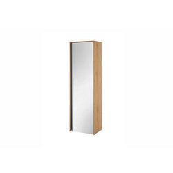 Esikukapp CITY tamm / antratsiit, 60x40xH200 cm