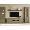 Vitriinkapp STRANDA hallikasroheline / tamm, 58x39xH195 cm