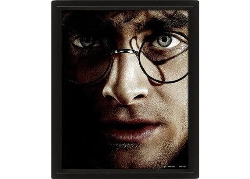 Plakat Harry Potter-Voldemort 3D
