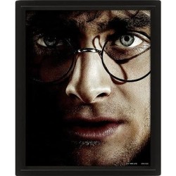 Plakat Harry Potter-Voldemort 3D