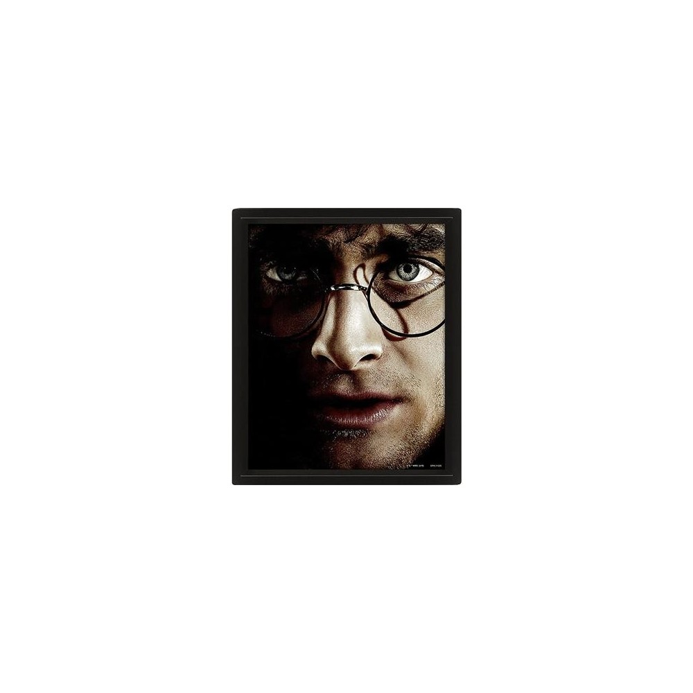 Plakat Harry Potter-Voldemort 3D