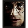 Plakat Harry Potter-Voldemort 3D