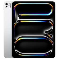 iPad Pro 13 M4 WiFi 512GB gloss, hõbedane