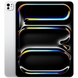iPad Pro 13 M4 5G 256GB gloss, hõbedane