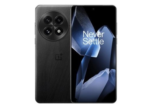 OnePlus 13 16+512GB, Black