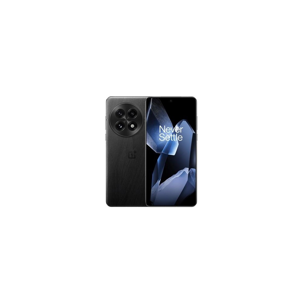 OnePlus 13 16+512GB, Black