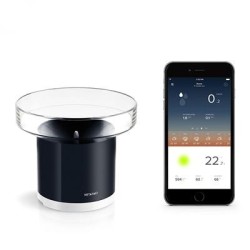 Netatmo Rain Gauge