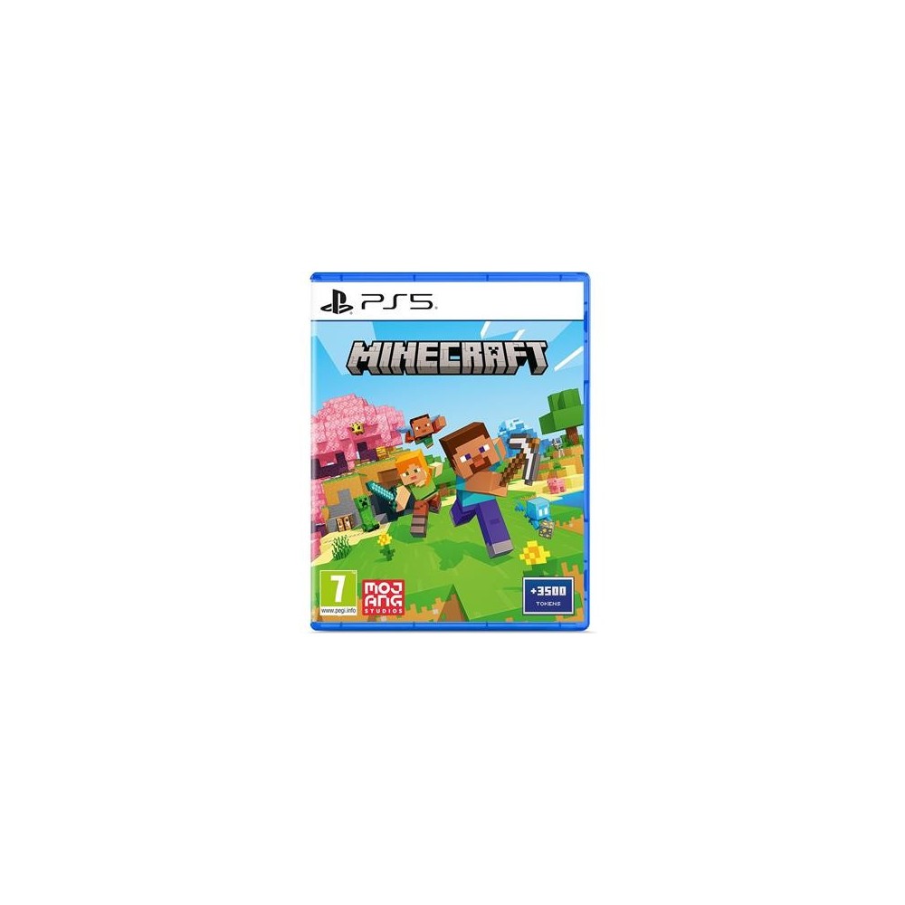 PS5 Minecraft