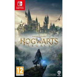 SW Hogwarts Legacy
