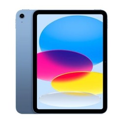 iPad A16 Wi-Fi + Cellular 256GB, Blue