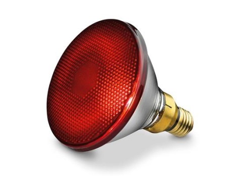 Varupirn Infrapunalamp Beurer IL35