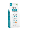 Brit Care Adult Salmon & Potato koeratoit 12kg