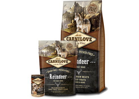 CARNILOVE Reindeer Adult koeratoit 12kg