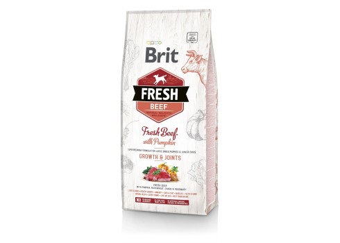 Brit FRESH koeratoit Beef & Pumpkin for Large Breed Puppies 12kg
