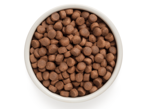 Grandorf Dog - Pardi- ja kalkunliha 3kg - Adult Medium ja Maxi koeratoit