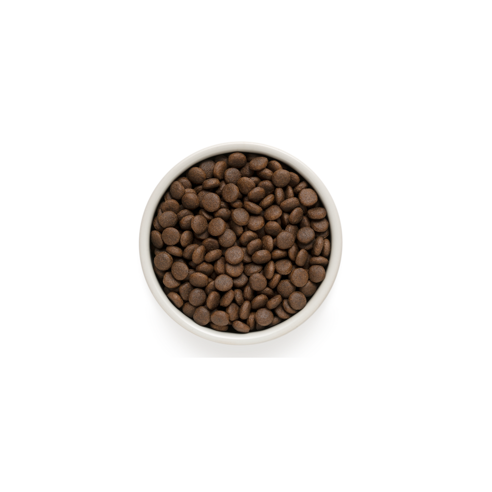 Grandorf Dog - Jänese- ja kalkuniliha 3kg - Adult Medium ja Maxi koeratoit