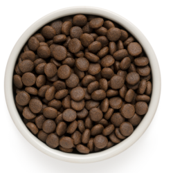 Grandorf Dog - Jänese- ja kalkuniliha 10kg - Adult Medium ja Maxi koeratoit