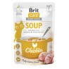 Brit Care Soup with Chicken kanasupp kassidele 75g