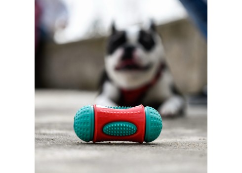 Freedog maiuselelu Peanut koerale 6x13cm
