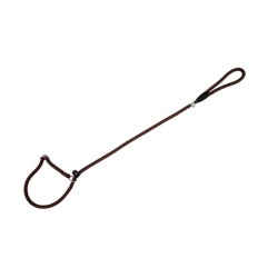 Freedog pruun kaelarihm-jalutusrihm koerale 13mm x 120cm
