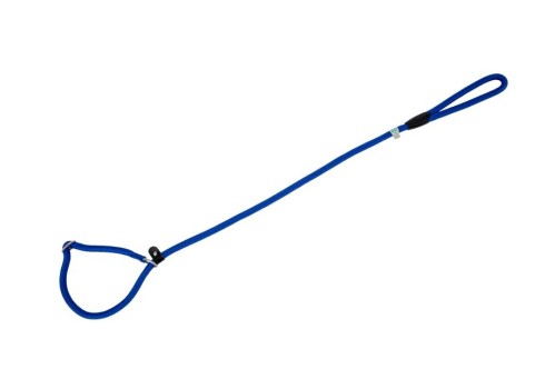 Freedog sinine kaelarihm-jalutusrihm koerale 10mm x 120cm