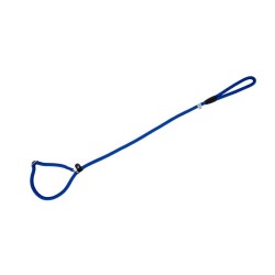 Freedog sinine kaelarihm-jalutusrihm koerale 10mm x 120cm