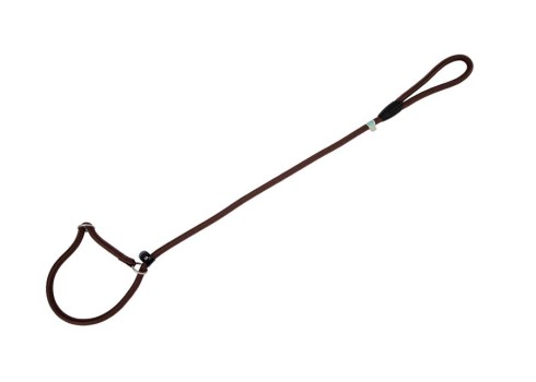 Freedog pruun kaelarihm-jalutusrihm koerale 8mm x 120cm