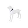 Freedog Extreme nailonist must kaelarihm koerale 25mm x 46-66cm