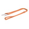 Freedog oranž nailonist treeningrihm koerale 2x200cm